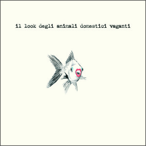 Il look degli animali domestici vaganti_front(1)