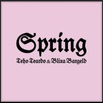 SPRING cover