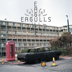 rsz_eagulls-album