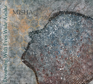 Misha Steinhauer Cover
