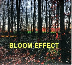 bloom-effect